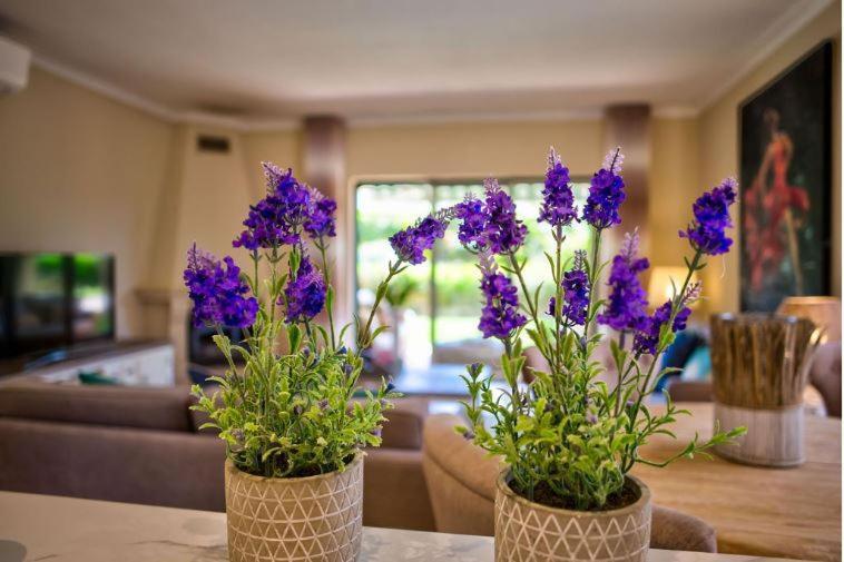 2Bedroom Bungalow Heated Shared Pool ,Near Carvoeiro And Ferrugudo ภายนอก รูปภาพ
